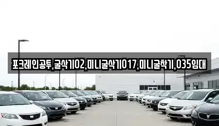 대전 유성구 장동 중고차매입 전문 포크레인공투,굴삭기02,미니굴삭기017,미니굴착기,035임대