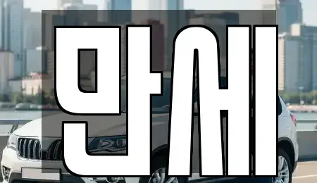 대전 중구 무수동 렌트카 전문 만세
