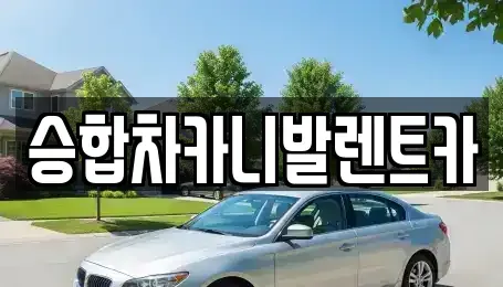 대전 중구 무수동 렌트카 전문 승합차카니발렌트카
