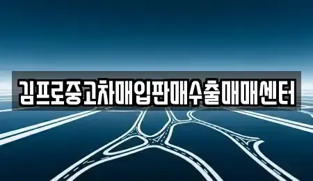 대전 중구 무수동 중고차 전문 김프로중고차매입판매수출매매센터