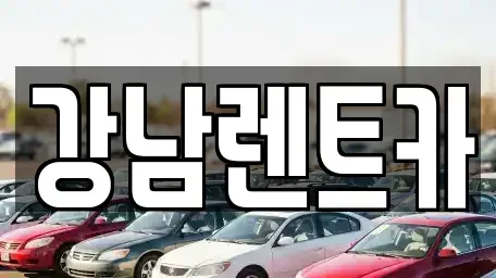 대전광역시 대덕구 법동 렌트카 전문 강남렌트카