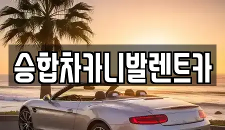 대전광역시 대덕구 법동 렌트카 전문 승합차카니발렌트카
