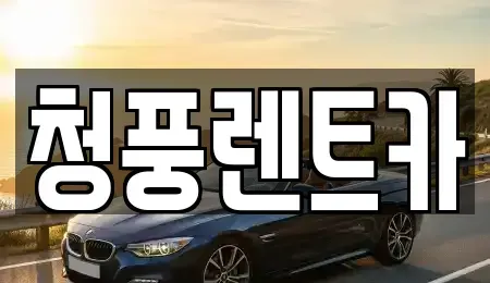대전광역시 대덕구 삼정동 렌트카 전문 청풍렌트카