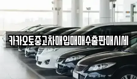 대전광역시 유성구 방동 중고차매매 전문 카카오토중고차매입매매수출판매시세