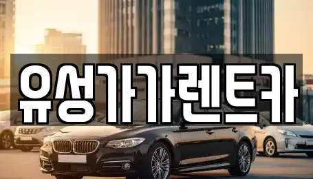 대전광역시 유성구 송정동 렌트카 전문 유성가가렌트카