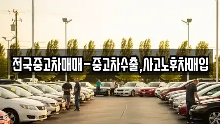 대전광역시 유성구 송정동 중고차매매 전문 전국중고차매매-중고차수출,사고노후차매입