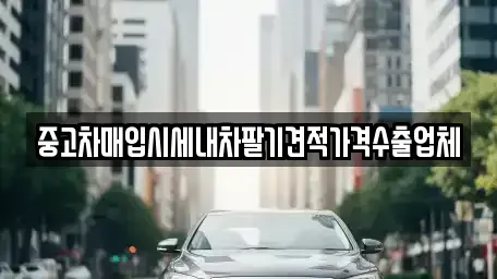 대전광역시 유성구 송정동 중고차매매 전문 중고차매입시세내차팔기견적가격수출업체