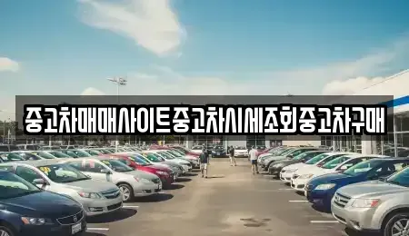 부산 강서구 구랑동 중고차매매 전문 중고차매매사이트중고차시세조회중고차구매