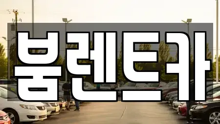부산 기장군 정관읍 렌트카 전문 붐렌트카