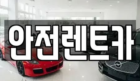 부산 기장군 정관읍 렌트카 전문 안전렌트카