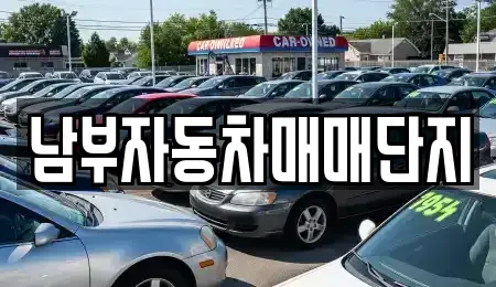 부산 남구 용당동 중고차매매 전문 남부자동차매매단지