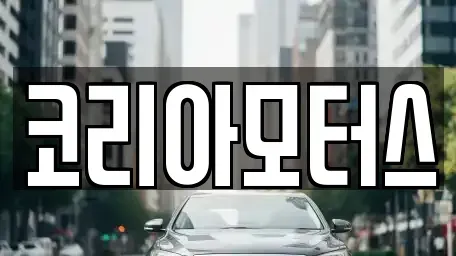 부산 남구 용당동 중고차매매 전문 코리아모터스