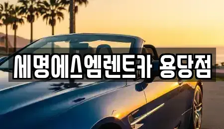 부산 남구 우암동 렌트카 전문 세명에스엠렌트카 용당점