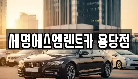 부산 남구 우암동 렌트카 전문 세명에스엠렌트카 용당점