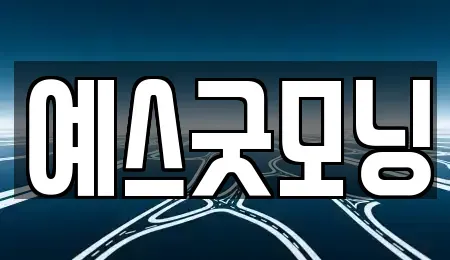 부산 남구 우암동 렌트카 전문 예스굿모닝
