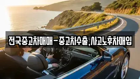부산 남구 우암동 중고차매입 전문 전국중고차매매-중고차수출,사고노후차매입