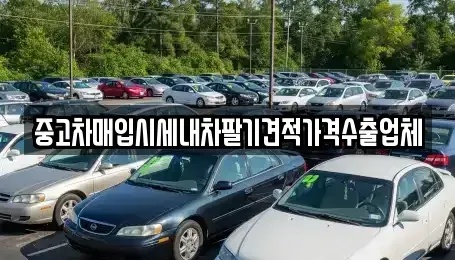 부산 남구 우암동 단기렌트카,중고차매입,중고차매매,중고차,렌트카,장기렌트카