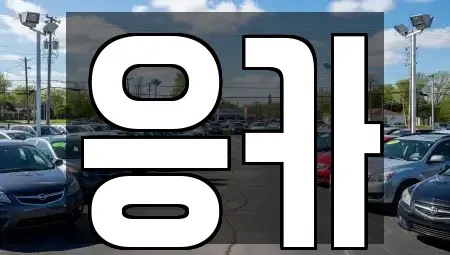 부산 동래구 복천동 장기렌트카 전문 응카