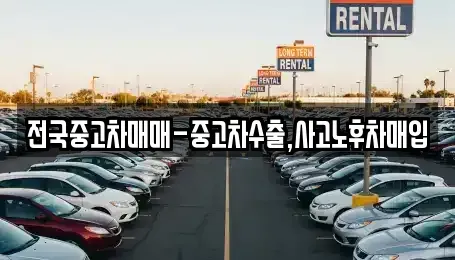 부산 동래구 복천동 중고차매매 전문 전국중고차매매-중고차수출,사고노후차매입