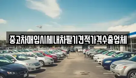 부산 북구 금곡동 중고차 전문 중고차매입시세내차팔기견적가격수출업체