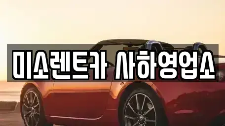 부산 사하구 구평동 렌트카 전문 미소렌트카 사하영업소