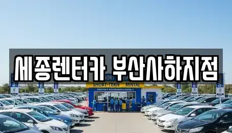 부산 사하구 구평동 렌트카 전문 세종렌터카 부산사하지점