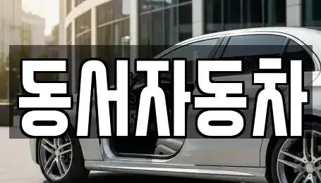 부산 사하구 구평동 중고차 전문 동서자동차
