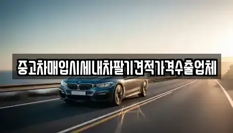 부산 사하구 구평동 중고차 전문 중고차매입시세내차팔기견적가격수출업체