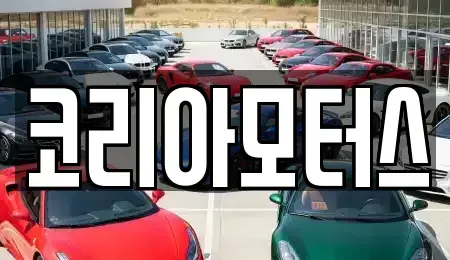 부산 사하구 구평동 중고차 전문 코리아모터스