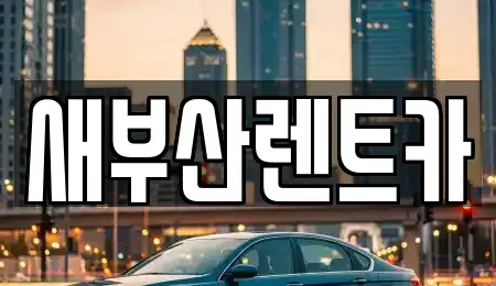 부산 서구 부민동1가 렌트카 전문 새부산렌트카