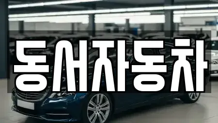 부산 서구 부민동1가 중고차 전문 동서자동차