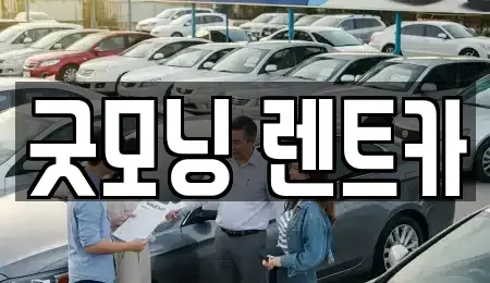 부산 수영구 광안동 렌트카 전문 굿모닝 렌트카