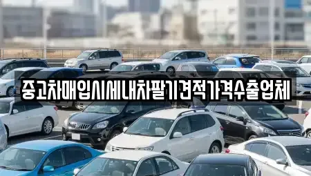 부산 수영구 광안동 중고차 전문 중고차매입시세내차팔기견적가격수출업체