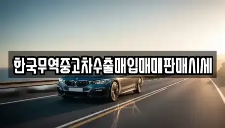 부산 수영구 광안동 중고차 전문 한국무역중고차수출매입매매판매시세