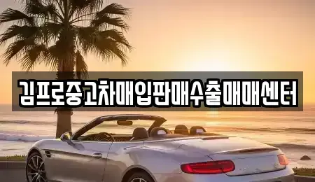 부산 중구 동광동5가 중고차매입 전문 김프로중고차매입판매수출매매센터