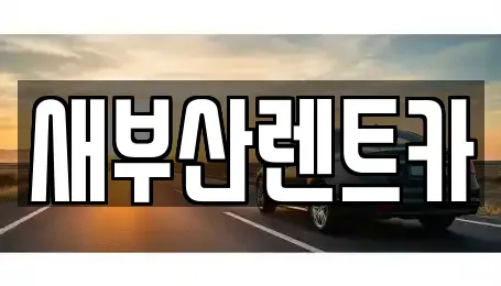 부산 중구 보수동1가 렌트카 전문 새부산렌트카