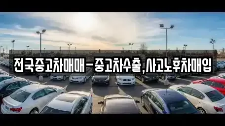 부산 중구 보수동1가 중고차 전문 전국중고차매매-중고차수출,사고노후차매입