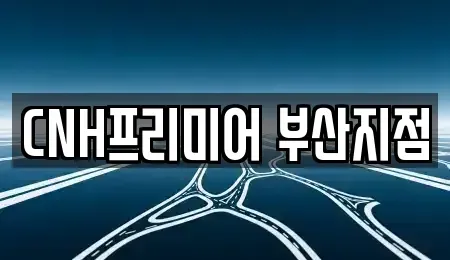 부산 중구 신창동2가 렌트카 전문 CNH프리미어 부산지점