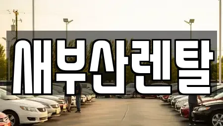 부산광역시 기장군 철마면 렌트카 전문 새부산렌탈