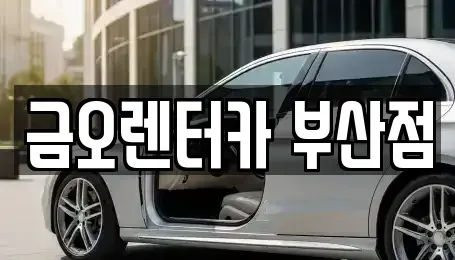 부산광역시 부산진구 연지동 렌트카 전문 금오렌터카 부산점