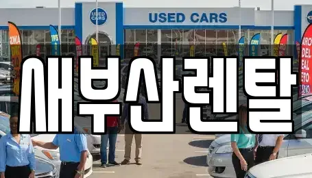 부산광역시 부산진구 연지동 렌트카 전문 새부산렌탈