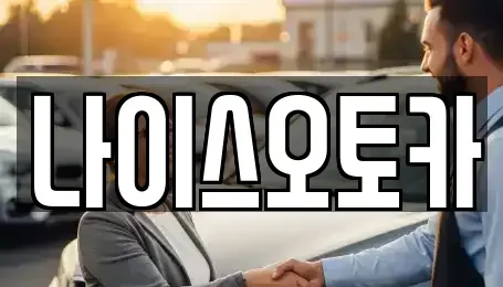 부산광역시 부산진구 연지동 장기렌트카 전문 나이스오토카
