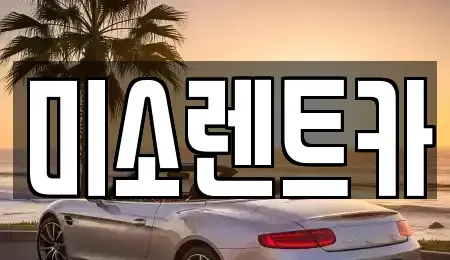 부산광역시 북구 구포동 렌트카 전문 미소렌트카