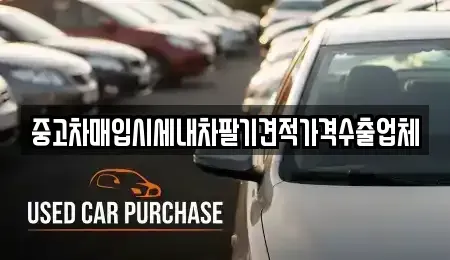 부산광역시 북구 구포동 중고차 전문 중고차매입시세내차팔기견적가격수출업체