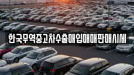 부산광역시 북구 구포동 중고차매입 전문 한국무역중고차수출매입매매판매시세
