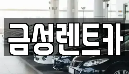 부산광역시 북구 화명동 렌트카 전문 금성렌트카
