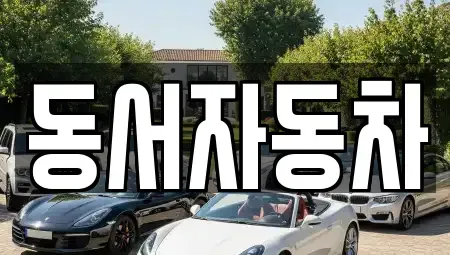부산광역시 북구 화명동 중고차 전문 동서자동차