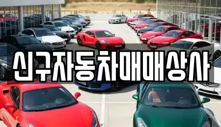 부산광역시 북구 화명동 중고차 전문 신구자동차매매상사