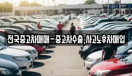 부산광역시 북구 화명동 중고차매입 전문 전국중고차매매-중고차수출,사고노후차매입
