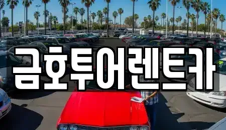 부산광역시 사하구 신평동 렌트카 전문 금호투어렌트카